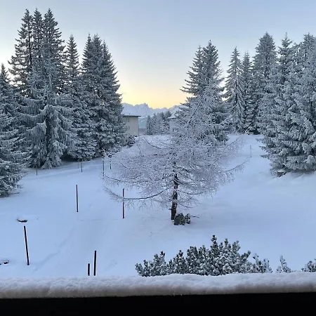 Valbella Comodo Accogliente A Pochi Passi Dalle Piste Ottima Posizione Apartmán *