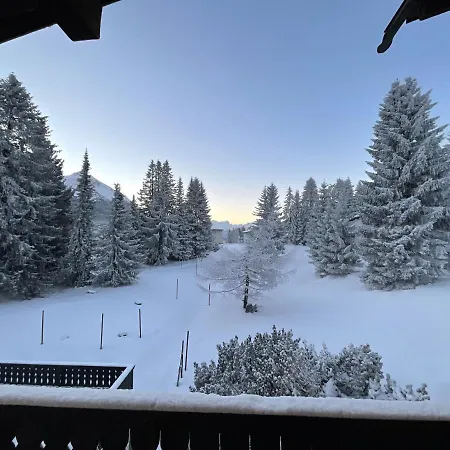 Valbella Comodo Accogliente A Pochi Passi Dalle Piste Ottima Posizione *